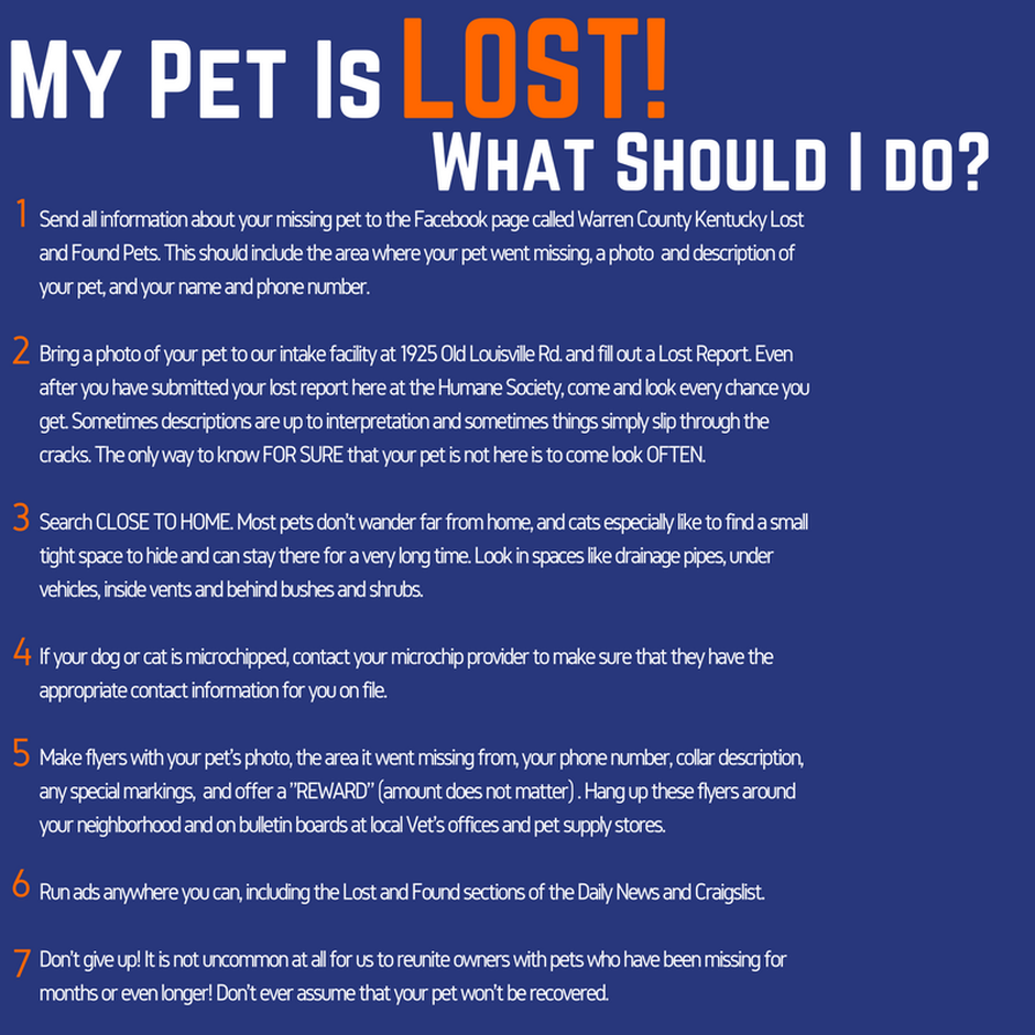 Craigslist Louisville Ky Pets - petfinder
