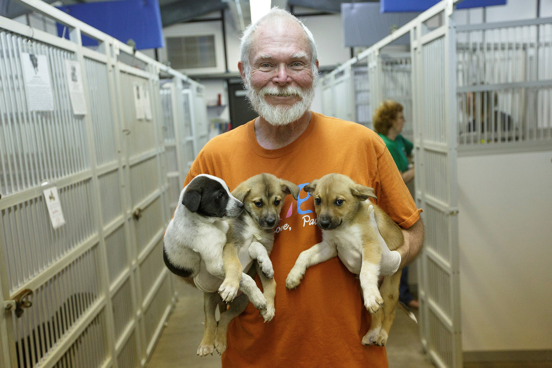 Get Involved - Bowling Green Warren County Humane Society